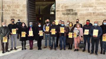 Les organitzacions participants abans d'entrar en el registre de les Corts Valencianes